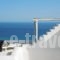 Villa Artisti Mykonos_best deals_Villa_Cyclades Islands_Mykonos_Mykonos ora