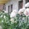 Valia Calda Hotel_holidays_in_Hotel_Macedonia_Grevena_Perivoli
