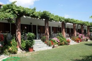 Litochoro Rooms_accommodation_in_Room_Macedonia_Pieria_Dion
