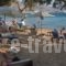 Krios Beach Camping_travel_packages_in_Cyclades Islands_Paros_Paros Chora