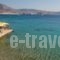 Petalides Apartments_holidays_in_Apartment_Cyclades Islands_Paros_Paros Chora