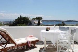 Nissiotiko Studios & Apartments_holidays_in_Apartment_Cyclades Islands_Paros_Paros Chora