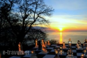 Hotel Maistra_best prices_in_Hotel_Thessaly_Magnesia_Kato Gatzea