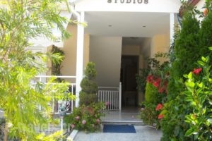 Zoe'S Studios_holidays_in_Hotel_Epirus_Preveza_Parga