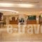 Sofitel Athens Airport_holidays_in_Hotel_Central Greece_Attica_Spata