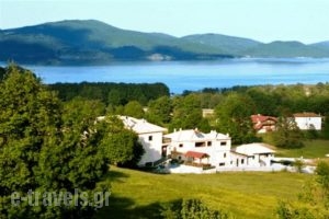 Silva Suites_holidays_in_Hotel_Thessaly_Karditsa_Neochori