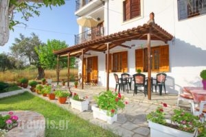 Anna George Studios_holidays_in_Hotel_Sporades Islands_Skopelos_Skopelos Chora
