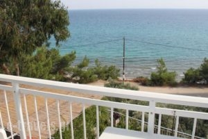 Laskarina Rooms_holidays_in_Room_Aegean Islands_Thasos_Thasos Chora