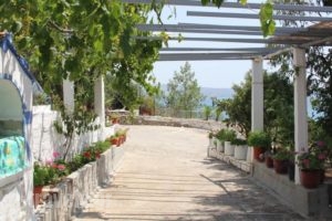Laskarina Rooms_best prices_in_Room_Aegean Islands_Thasos_Thasos Chora