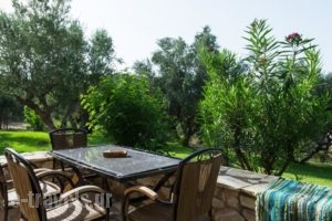 Koroni Village_holidays_in_Hotel_Thessaly_Magnesia_Koropi
