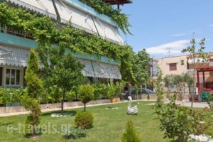 Artemis Apartments_best deals_Apartment_Macedonia_Halkidiki_Paralia Dionysou