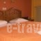 Plumeria Flowery_lowest prices_in_Hotel_Central Greece_Fokida_Delfi