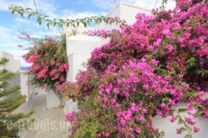 Galini Oia_best deals_Hotel_Cyclades Islands_Sandorini_Sandorini Rest Areas