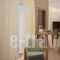 Athens Lotus Apartments_best prices_in_Apartment_Central Greece_Attica_Athens