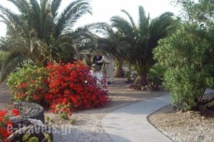 Ecoxenia_best deals_Hotel_Cyclades Islands_Sandorini_Sandorini Rest Areas