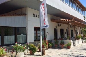 Natalia Studios_lowest prices_in_Hotel_Aegean Islands_Lesvos_Petra