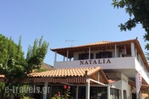 Natalia Studios_accommodation_in_Hotel_Aegean Islands_Lesvos_Petra