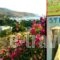 Maltabe Studios_travel_packages_in_Cyclades Islands_Andros_Andros City