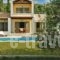 Elaia Villas_lowest prices_in_Villa_Ionian Islands_Kefalonia_Minia