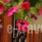 Filyra Pension_best deals_Hotel_Peloponesse_Argolida_Nafplio