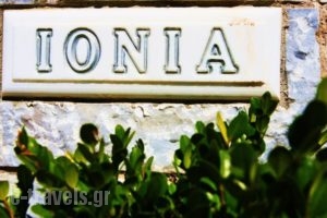 Ionia Hotel_lowest prices_in_Hotel_Sporades Islands_Skopelos_Skopelos Chora