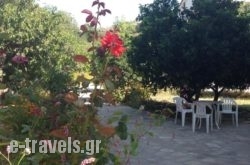 Alekos Rooms And Apartments in Samos Rest Areas, Samos, Aegean Islands