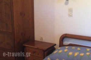 Alekos Rooms And Apartments_best deals_Room_Aegean Islands_Samos_Samosst Areas