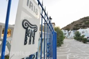Iris Studios_lowest prices_in_Hotel_Dodekanessos Islands_Karpathos_Karpathos Chora