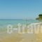 Porta Del Mar Beach Resort_best deals_Hotel_Ionian Islands_Zakinthos_Zakinthos Rest Areas