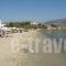 Krios Beach Camping_accommodation_in_Hotel_Cyclades Islands_Paros_Paros Chora