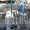 Villa Sophie_accommodation_in_Villa_Cyclades Islands_Paros_Piso Livadi