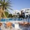 Something Else_accommodation_in_Hotel_Cyclades Islands_Naxos_Agia Anna