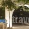 Something Else_best deals_Hotel_Cyclades Islands_Naxos_Agia Anna