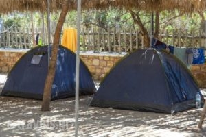 Plaka Camping Naxos_holidays_in_Hotel_Cyclades Islands_Paros_Paros Chora