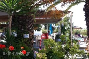 Plaka Camping Naxos_lowest prices_in_Hotel_Cyclades Islands_Paros_Paros Chora