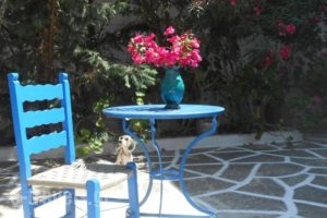 Meletis Studios_accommodation_in_Hotel_Cyclades Islands_Paros_Paros Chora
