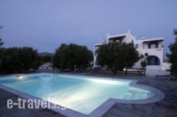 Diamantis Studios&Apartments in Mikri Vigla, Naxos, Cyclades Islands