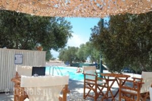 Diamantis Studios&Apartments_holidays_in_Apartment_Cyclades Islands_Naxos_Mikri Vigla