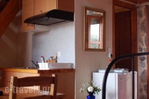 Elounda Olive Garden Apts & Studios_best deals_Hotel_Central Greece_Fthiotida_Amfiklia