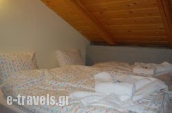 Elisson Hostel_s __1