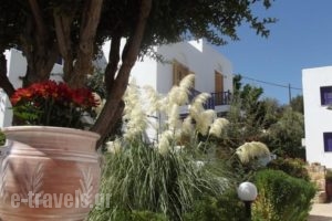 Nefeli Hotel_best deals_Hotel_Ionian Islands_Lefkada_Drimonas