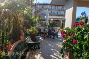 Polymnia Studios_best deals_Hotel_Macedonia_Pieria_Olympiaki Akti