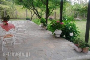 Villa Aura_best prices_in_Villa___