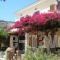 Panorama Apartments_accommodation_in_Apartment_Ionian Islands_Zakinthos_Zakinthos Rest Areas