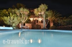 Villa Palm River in Sfakia, Chania, Crete