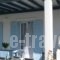 Kounados Apartments_best deals_Apartment_Cyclades Islands_Paros_Paros Chora