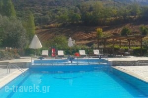 Ataviros Hotel_best prices_in_Hotel_Dodekanessos Islands_Rhodes_Embonas