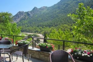 Hotel Pyli_best prices_in_Hotel_Thessaly_Karditsa_Oxia