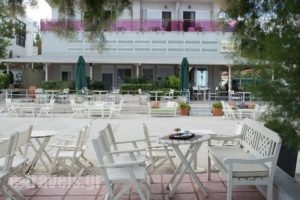 Hotel Pithari_lowest prices_in_Hotel_Macedonia_Thessaloniki_Thessaloniki City