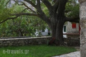 Traditionnal House Lefkada_holidays_in_Hotel_Ionian Islands_Lefkada_Karia